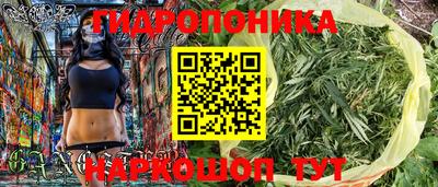 крисы Анапа