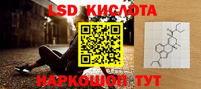 крисы Анапа