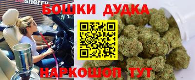 крисы Анапа