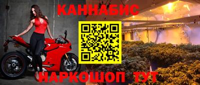 крисы Анапа