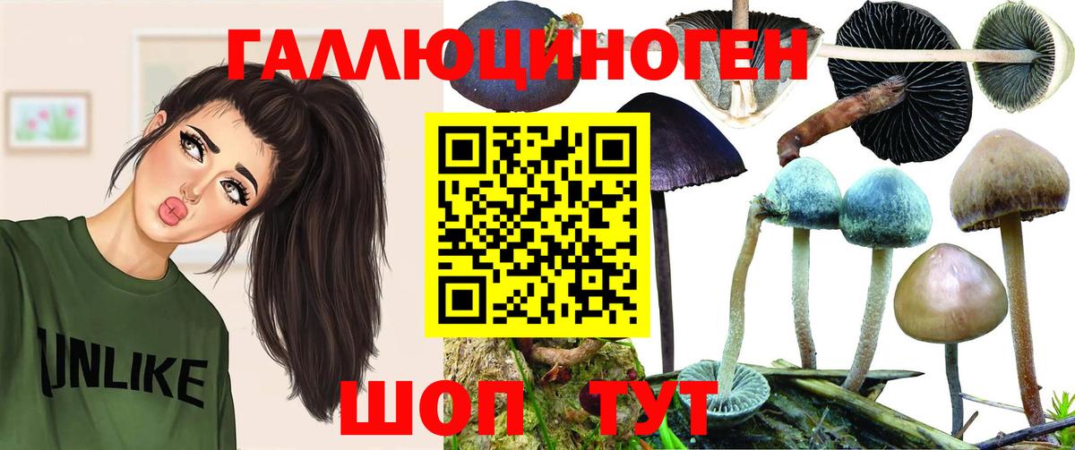 Псилоцибиновые грибы MAGIC MUSHROOMS Комсомольск-на-Амуре